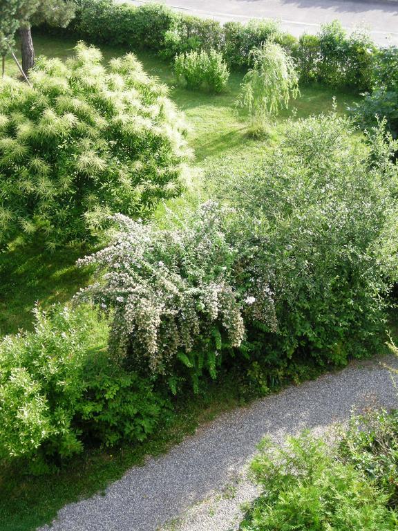 Aux Berges De La Thur Staffelfelden エクステリア 写真